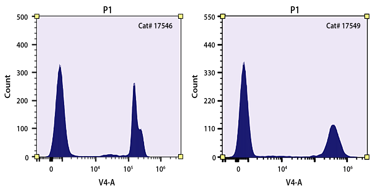 A mixture of heat-killed and untreated Jurkat cells was stained with Nuclear Blue™ DCS2 (17546) or Nuclear Violet™ DCS1 (17549) stain for 10 minutes. Cells were analyzed on a flow cytometer equipped with a 405 nm violet laser and a 473/15 nm bandpass filter, such as the V4 channel on Cytek's Aurora spectral flow cytometer. Live cells are easily distinguished from the dead cell population.