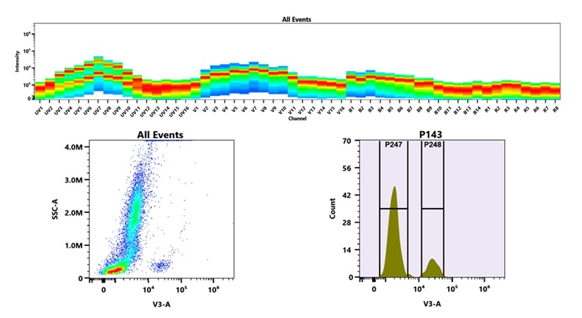 (Top) Spectral emission profiles generated using four spatially offset lasers (355 nm, 405 nm, 488 nm, and 640 nm). Each laser produced a distinct emission pattern, and their combination yielded the composite spectral signature. (Bottom) Flow cytometry analysis of whole blood stained with PacBlue Anti-human CD19 Antibody (HI19a).The fluorescence signal was monitored using an Cytek Aurora flow cytometer in the specific V3-A channel.