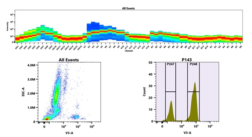 (Top) Spectral emission profiles generated using four spatially offset lasers (355 nm, 405 nm, 488 nm, and 640 nm). Each laser produced a distinct emission pattern, and their combination yielded the composite spectral signature. (Bottom) Flow cytometry analysis of whole blood stained with PacBlue Anti-human CD3 Antibody *UCHT1*. The fluorescence signal was monitored using an Cytek Aurora flow cytometer in the specific V3-A channel.