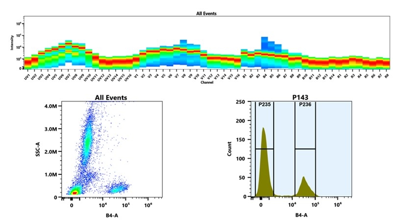 (Top) Spectral emission profiles generated using four spatially offset lasers (355 nm, 405 nm, 488 nm, and 640 nm). Each laser produced a distinct emission pattern, and their combination yielded the composite spectral signature. (Bottom) Flow cytometry analysis of whole blood stained with PE Anti-human CD2 Antibody *HIT11*. The fluorescence signal was monitored using an Cytek Aurora flow cytometer in the specific B4-A channel.