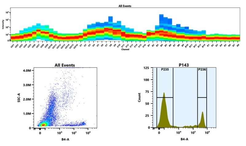 (Top) Spectral emission profiles generated using four spatially offset lasers (355 nm, 405 nm, 488 nm, and 640 nm). Each laser produced a distinct emission pattern, and their combination yielded the composite spectral signature. (Bottom) Flow cytometry analysis of whole blood stained with PE Anti-human CD8 Antibody *SK1*. The fluorescence signal was monitored using an Aurora spectral flow cytometer in the  specific B4-A channel.