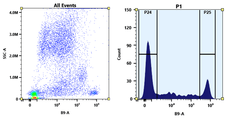 Flow cytometry analysis of whole blood stained with PE-Cy5.5 anti-human CD8 *SK7* conjugate. The fluorescence signal was monitored using an Aurora flow cytometer in the PE-Cy5.5 specific B9-A channel.