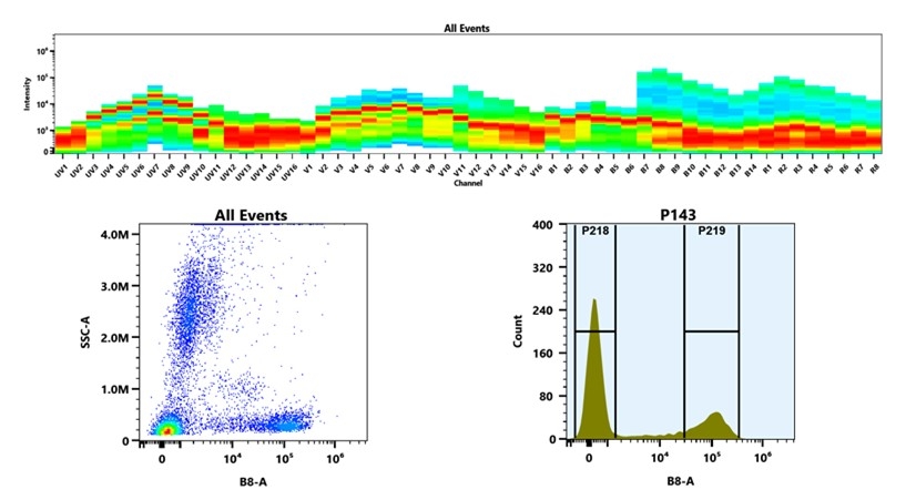 (Top) Spectral emission profiles generated using four spatially offset lasers (355 nm, 405 nm, 488 nm, and 640 nm). Each laser produced a distinct emission pattern, and their combination yielded the composite spectral signature. (Bottom) Flow cytometry analysis of whole blood stained with PE/Cy5 Anti-human CD7 Antibody *HIT7*. The fluorescence signal was monitored using an Cytek Aurora flow cytometer in the specific B8-A channel.
