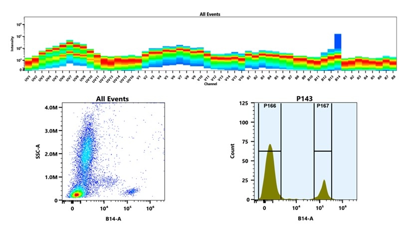(Top) Spectral emission profiles generated using four spatially offset lasers (355 nm, 405 nm, 488 nm, and 640 nm). Each laser produced a distinct emission pattern, and their combination yielded the composite spectral signature. (Bottom) Flow cytometry analysis of whole blood stained with PE/Cy7 Anti-human CD19 Antibody (HIB19). The fluorescence signal was monitored using an Cytek Aurora flow cytometer in the specific B14-A channel.