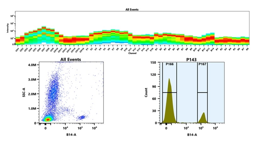 (Top) Spectral emission profiles generated using four spatially offset lasers (355 nm, 405 nm, 488 nm, and 640 nm). Each laser produced a distinct emission pattern, and their combination yielded the composite spectral signature. (Bottom) Flow cytometry analysis of whole blood stained with PE/Cy7 Anti-human CD19 Antibody (SJ25C1). The fluorescence signal was monitored using an Cytek Aurora flow cytometer in the specific B14-A channel.