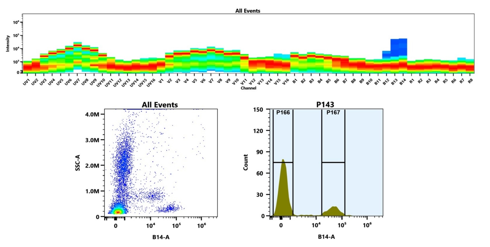 (Top) Spectral emission profiles generated using four spatially offset lasers (355 nm, 405 nm, 488 nm, and 640 nm). Each laser produced a distinct emission pattern, and their combination yielded the composite spectral signature. (Bottom) Flow cytometry analysis of human whole blood stained with PE/Cy7 Anti-human CD28 Antibody (CD28.2) (Cat. #102801N1). The fluorescence signal was monitored on a Cytek Aurora spectral flow cytometer in the B14-A channel, demonstrating clear detection of CD28⁺ cells.