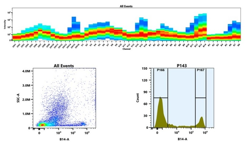 (Top) Spectral emission profiles generated using four spatially offset lasers (355 nm, 405 nm, 488 nm, and 640 nm). Each laser produced a distinct emission pattern, and their combination yielded the composite spectral signature. (Bottom) Flow cytometry analysis of whole blood stained with PE/Cy7 Anti-human CD8 Antibody *SK1*. The fluorescence signal was monitored using an Aurora spectral flow cytometer in the specific B14-A channel.