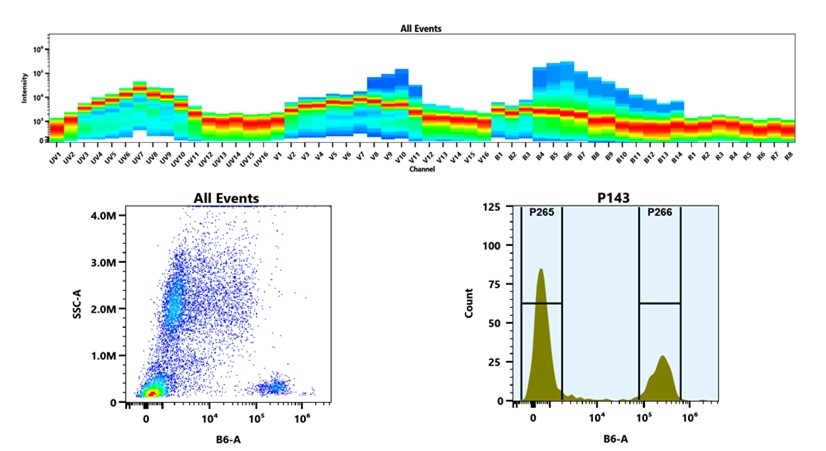 (Top) Spectral emission profiles generated using four spatially offset lasers (355 nm, 405 nm, 488 nm, and 640 nm). Each laser produced a distinct emission pattern, and their combination yielded the composite spectral signature. (Bottom) Flow cytometry analysis of whole blood stained with PE/iFluor® 594 Anti-human CD3 Antibody *OKT-3*. The fluorescence signal was monitored using an Cytek Aurora flow cytometer in the specific B6-A channel.