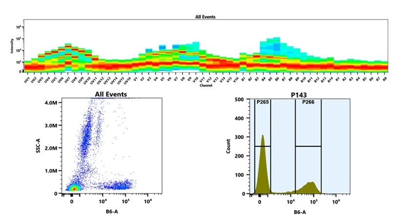(Top) Spectral emission profiles generated using four spatially offset lasers (355 nm, 405 nm, 488 nm, and 640 nm). Each laser produced a distinct emission pattern, and their combination yielded the composite spectral signature. (Bottom) Flow cytometry analysis of whole blood stained with PE/iFluor® 594 Anti-human CD7 Antibody *HIT7*. The fluorescence signal was monitored using an Cytek Aurora flow cytometer in the specific B6-A channel.