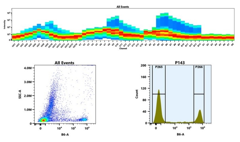 (Top) Spectral emission profiles generated using four spatially offset lasers (355 nm, 405 nm, 488 nm, and 640 nm). Each laser produced a distinct emission pattern, and their combination yielded the composite spectral signature. (Bottom) Flow cytometry analysis of whole blood stained with PE/iFluor® 594 Anti-human CD8 Antibody *SK1*. The fluorescence signal was monitored using an Aurora spectral flow cytometer in the specific B6-A channel.