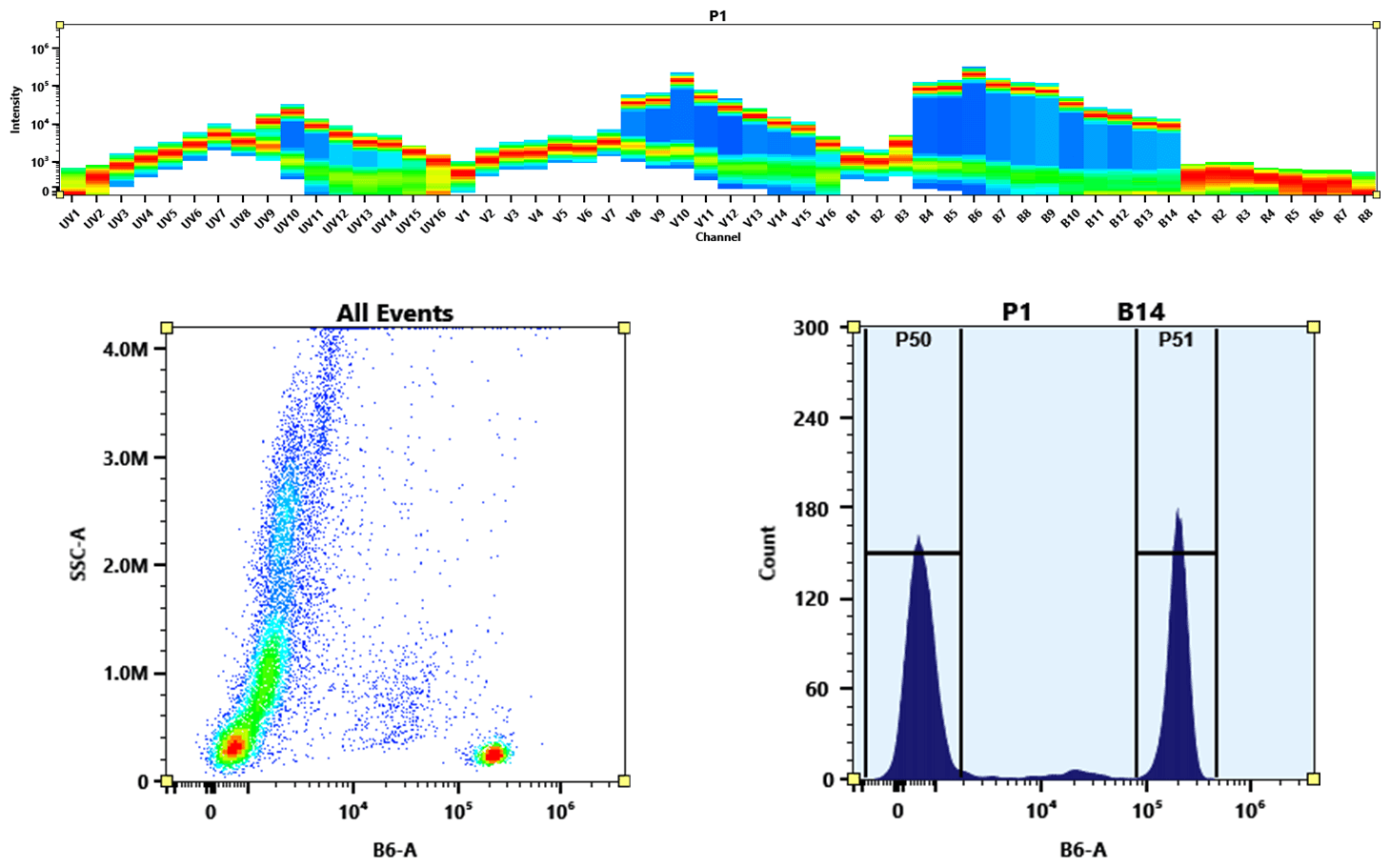 (Top) Spectral emission profiles generated using four spatially offset lasers (355 nm, 405 nm, 488 nm, and 640 nm). Each laser produced a distinct emission pattern, and their combination yielded the composite spectral signature.
(Bottom) Flow cytometry analysis of whole blood stained with PE-iFluor® 597 Anti-human CD4 (Clone: SK3) conjugate. The fluorescence signal was monitored using a Cytek Aurora spectral flow cytometer in the PE-iFluor® 597-specific B6-A channel.
