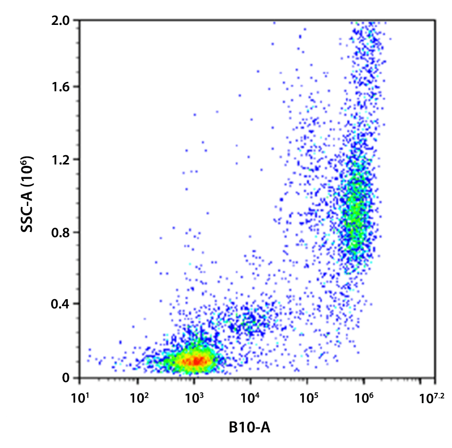 Flow cytometry analysis of whole blood cells stained with CD15-PE/iFluor® 700 conjugate. The fluorescence signal was monitored using an Aurora spectral flow cytometer in the PE/iFluor® 700 specific B10-A channel.