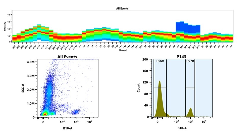 (Top) Spectral emission profiles generated using four spatially offset lasers (355 nm, 405 nm, 488 nm, and 640 nm). Each laser produced a distinct emission pattern, and their combination yielded the composite spectral signature. (Bottom) Flow cytometry analysis of whole blood stained with PE/iFluor® 700 Anti-human CD19 Antibody (HI19a). The fluorescence signal was monitored using an Cytek Aurora flow cytometer in the specific B10-A channel.
