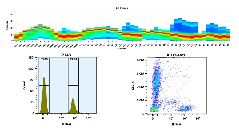 (Top) Spectral emission profiles generated using four spatially offset lasers (355 nm, 405 nm, 488 nm, and 640 nm). Each laser produced a distinct emission pattern, and their combination yielded the composite spectral signature. (Bottom) Flow cytometry analysis of whole blood stained with PE/iFluor® 700 Anti-human CD2 Antibody *RPA-2.10*. The fluorescence signal was monitored using an Cytek Aurora flow cytometer in the specific B10-A channel.