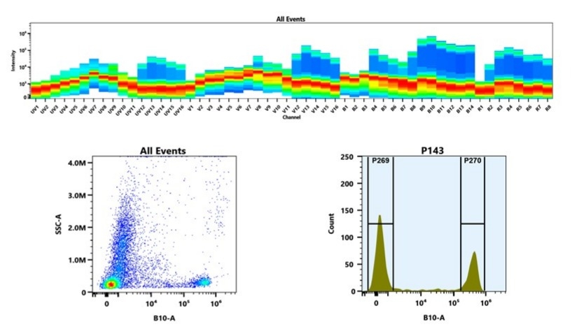 (Top) Spectral emission profiles generated using four spatially offset lasers (355 nm, 405 nm, 488 nm, and 640 nm). Each laser produced a distinct emission pattern, and their combination yielded the composite spectral signature. (Bottom) Flow cytometry analysis of whole blood stained with PE/iFluor® 700 Anti-human CD8 Antibody *SK1*. The fluorescence signal was monitored using an Aurora spectral flow cytometer in the specific B10-A channel.