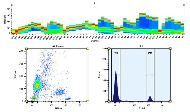 Top) Spectral pattern was generated using a 4-laser spectral cytometer. Spatially offset lasers (355 nm, 405 nm, 488 nm, and 640 nm) were used to create four distinct emission profiles, then, when combined, yielded the overall spectral signature. Bottom) Flow cytometry analysis of PBMC stained with PE/iFlour® 700 anti-human CD4 *SK3* conjugate. The fluorescence signal was monitored using an Aurora spectral flow cytometer in the PE/iFluor® 700 specific B10-A channel.