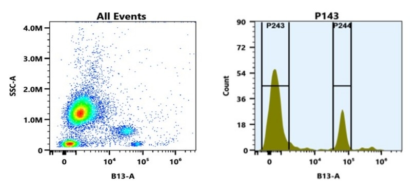 Flow cytometry analysis of whole blood stained with PE-iFluor® 740 anti-human CD4 *SK3* conjugate. The fluorescence signal was monitored using an Aurora spectral flow cytometer in the PE/iFluor® 740 specific B13-A channel.