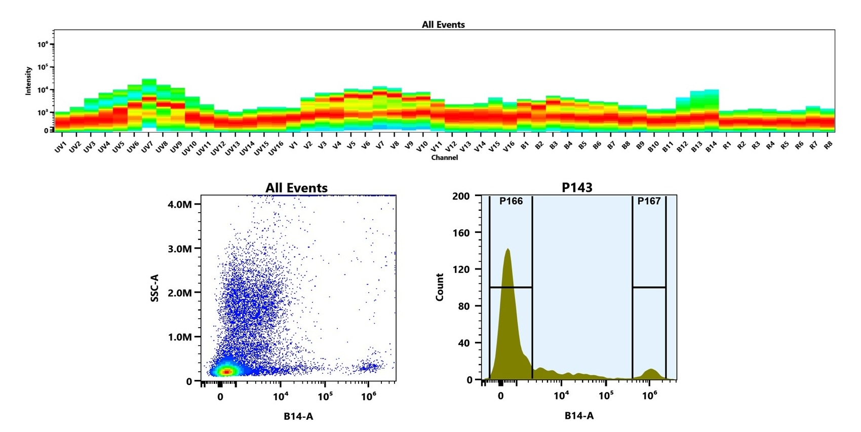 (Top) Spectral emission profiles generated using four spatially offset lasers (355 nm, 405 nm, 488 nm, and 640 nm). Each laser produced a distinct emission pattern, and their combination yielded the composite spectral signature. (Bottom) Flow cytometry analysis of human whole blood stained with PE/iFluor® 750 Anti-human/monkey CD20 Antibody (2H7) (Cat. #102021Q0). The fluorescence signal was monitored on a Cytek Aurora spectral flow cytometer in the B14-A channel, demonstrating clear detection of CD20⁺ cells.