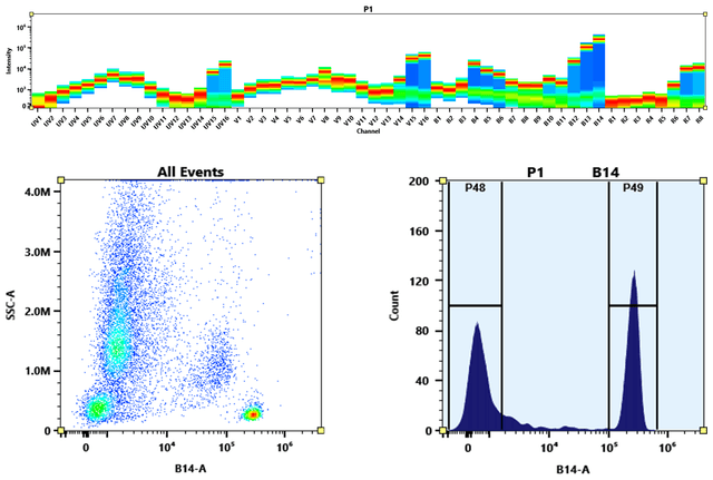 Flow cytometry analysis of whole blood cells stained with PE-iFluor® 770 anti-human CD4 *SK3* conjugate. The fluorescence signal was monitored using an Aurora flow cytometer in the PE-iFluor® 770 specific B14-A channel.