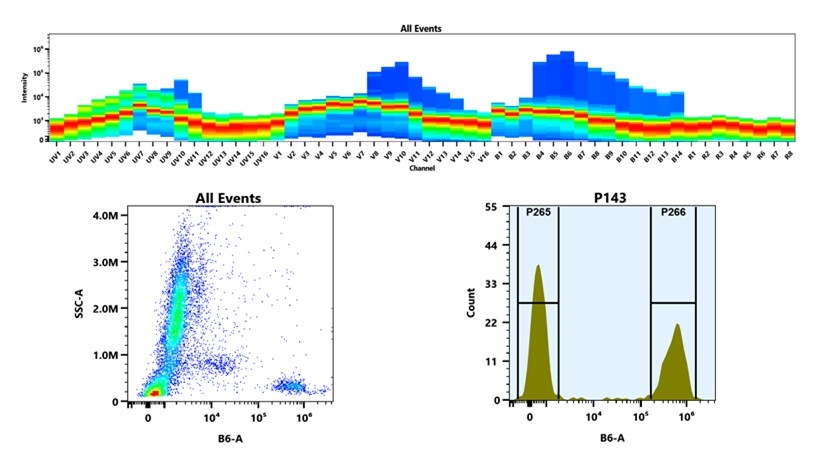 (Top) Spectral emission profiles generated using four spatially offset lasers (355 nm, 405 nm, 488 nm, and 640 nm). Each laser produced a distinct emission pattern, and their combination yielded the composite spectral signature. (Bottom) Flow cytometry analysis of whole blood stained with PE/Texas Red® Anti-human CD3 Antibody *UCHT1*. The fluorescence signal was monitored using an Cytek Aurora flow cytometer in the specific B6-A channel.