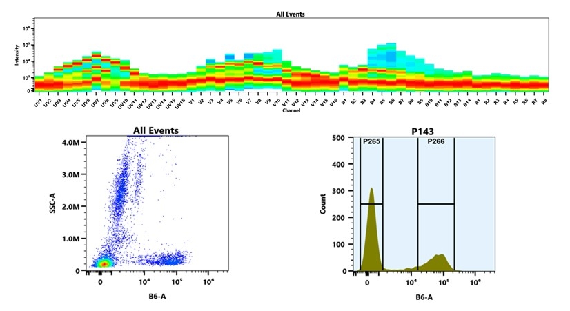 (Top) Spectral emission profiles generated using four spatially offset lasers (355 nm, 405 nm, 488 nm, and 640 nm). Each laser produced a distinct emission pattern, and their combination yielded the composite spectral signature. (Bottom) Flow cytometry analysis of whole blood stained with PE/Texas Red Anti-human CD7 Antibody (HIT7). The fluorescence signal was monitored using an Cytek Aurora flow cytometer in the specific B6-A channel.