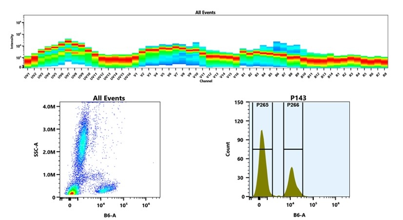 (Top) Spectral emission profiles generated using four spatially offset lasers (355 nm, 405 nm, 488 nm, and 640 nm). Each laser produced a distinct emission pattern, and their combination yielded the composite spectral signature. (Bottom) Flow cytometry analysis of whole blood stained with PE/XFD610 Anti-human CD2 Antibody *HIT11*. The fluorescence signal was monitored using an Cytek Aurora flow cytometer in the specific B6-A channel.