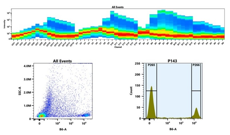 (Top) Spectral emission profiles generated using four spatially offset lasers (355 nm, 405 nm, 488 nm, and 640 nm). Each laser produced a distinct emission pattern, and their combination yielded the composite spectral signature. (Bottom) Flow cytometry analysis of whole blood stained with PE/XFD610 Anti-human CD8 Antibody *SK1*. The fluorescence signal was monitored using an Aurora spectral flow cytometer in the specific B6-A channel.