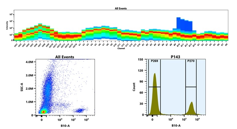 (Top) Spectral emission profiles generated using four spatially offset lasers (355 nm, 405 nm, 488 nm, and 640 nm). Each laser produced a distinct emission pattern, and their combination yielded the composite spectral signature. (Bottom) Flow cytometry analysis of whole blood stained with PE/XFD700 Anti-human CD19 Antibody (HIB19). The fluorescence signal was monitored using an Cytek Aurora flow cytometer in the specific B10-A channel.