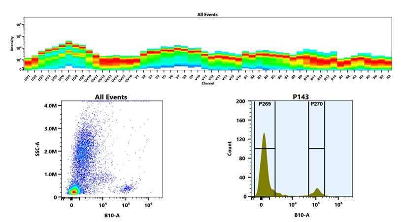 (Top) Spectral emission profiles generated using four spatially offset lasers (355 nm, 405 nm, 488 nm, and 640 nm). Each laser produced a distinct emission pattern, and their combination yielded the composite spectral signature. (Bottom) Flow cytometry analysis of whole blood stained with PE/XFD700 Anti-human CD19 Antibody (SJ25C1). The fluorescence signal was monitored using an Cytek Aurora flow cytometer in the specific B10-A channel.