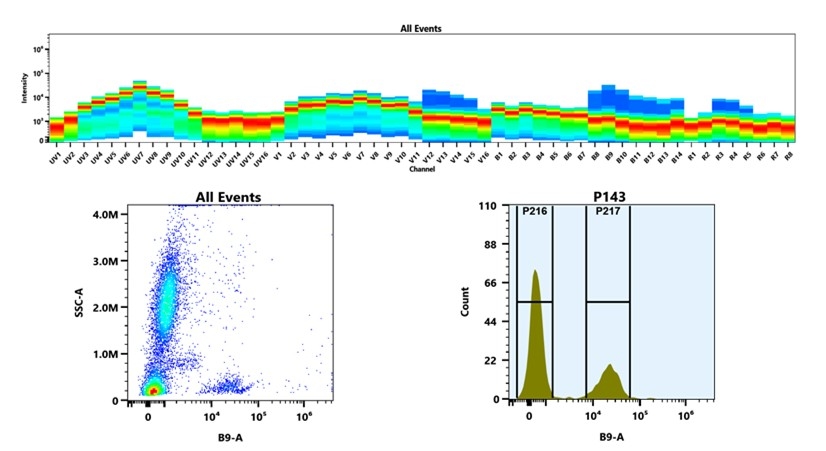 (Top) Spectral emission profiles generated using four spatially offset lasers (355 nm, 405 nm, 488 nm, and 640 nm). Each laser produced a distinct emission pattern, and their combination yielded the composite spectral signature. (Bottom) Flow cytometry analysis of whole blood stained with PerCP/Cy5.5 Anti-human CD3 Antibody *OKT-3*. The fluorescence signal was monitored using an Cytek Aurora flow cytometer in the specific B9-A channel.