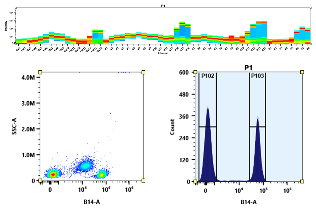 Flow cytometry analysis of PBMC stained with PerCP-Cy7 anti-human CD4 *SK3* conjugate. The fluorescence signal was monitored using an Aurora spectral flow cytometer in the PerCP-Cy7 specific B14-A channel.