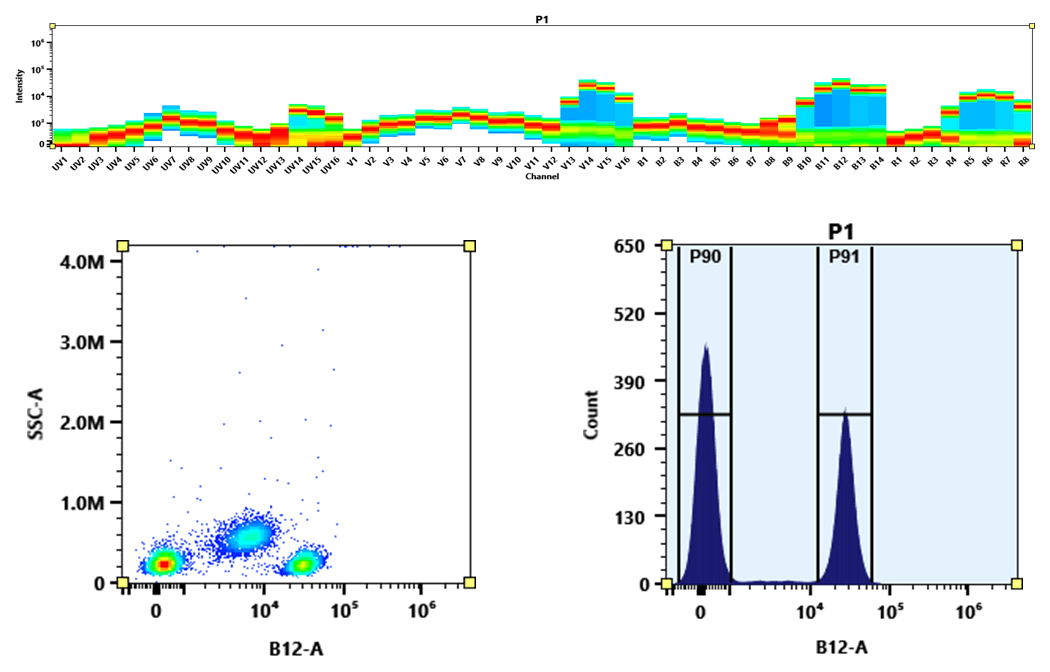 Flow cytometry analysis of PBMC stained with PerCP-iFluor® 710 anti-human CD4 *SK3* conjugate. The fluorescence signal was monitored using an Aurora spectral flow cytometer in the PerCP-iFluor® 710 specific B12-A channel.