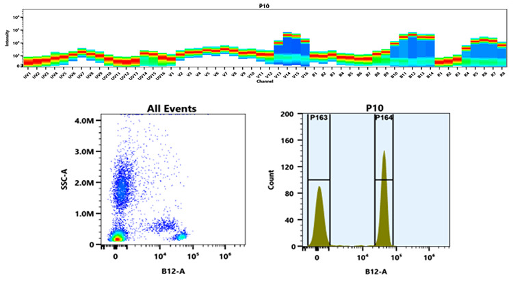 Top) Spectral pattern was generated using a 4-laser spectral cytometer. Spatially offset lasers (355 nm, 405 nm, 488 nm, and 640 nm) were used to create four distinct emission profiles, then, when combined, yielded the overall spectral signature. Bottom) Flow cytometry analysis of whole blood stained with PerCP-iFlour® 720 anti-human CD4 *SK3* conjugate. The fluorescence signal was monitored using an Aurora spectral flow cytometer in the PerCP-iFluor® 720 specific B12-A channel.