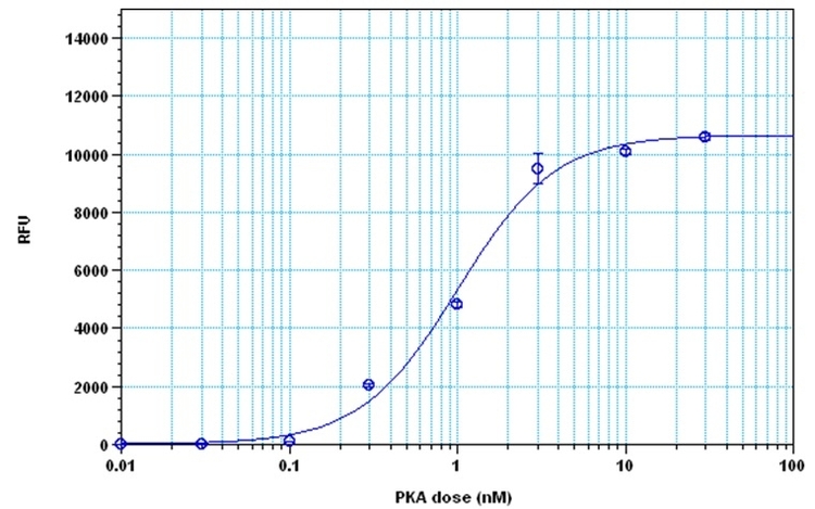 PhosphoWorks™ Fluorimetric ADP Assay Kit