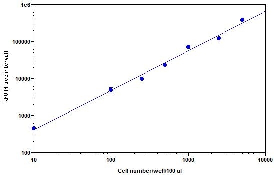 <p>CHO-K1 cell number was measured with the PhosphoWorks™ Luminescence ATP Assay Kit on a 96-well white plate using a NOVOstar plate reader (BMG Labtech). The luminescence signal for CHO-K1 cells down to 100 cells per well was monitored for up to 2 hours (Z’ factor = 0.6). The integrated time was 1 second.</p>