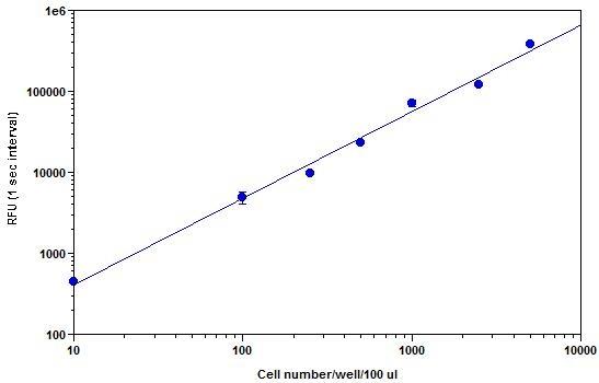 CHO-K1 cell number was measured with the PhosphoWorks&trade; Luminescence ATP Assay Kit on a 96-well white plate using a NOVOstar plate reader (BMG Labtech). The luminescence signal for CHO-K1 cells down to 100 cells per well was monitored for up to 2 hours (Z&rsquo; factor = 0.6). The integrated time was 1 second.