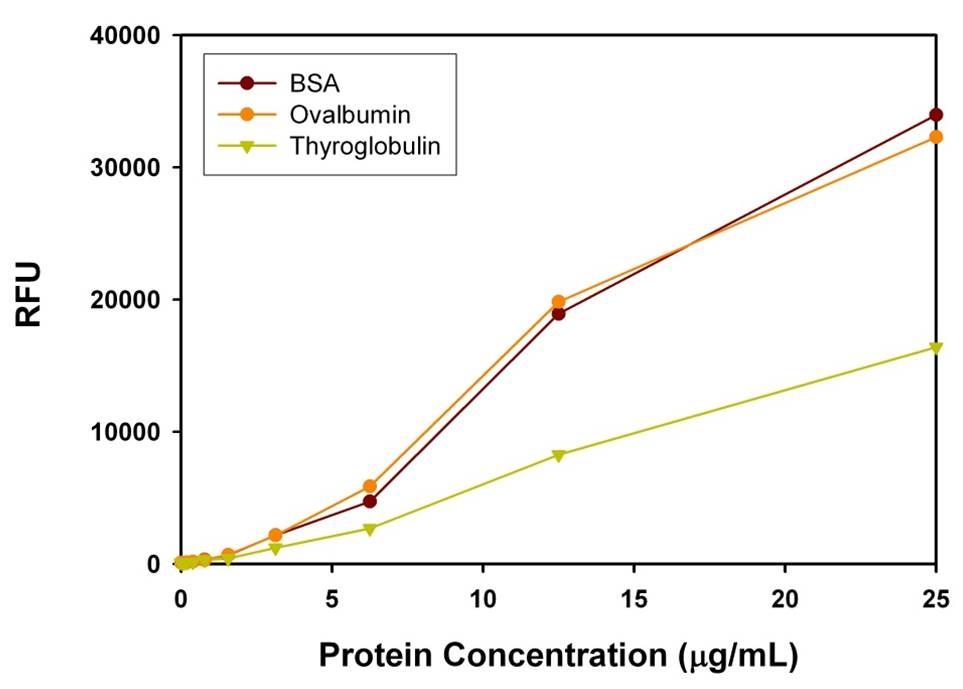 Serial dilutions of BSA, chicken-egg ovalbumin, porcine thyroglobulin were measured at Ex/Em 485/590 nm using Portelite&trade; Fluorimetric Protein Quantitation Kit *Optimized for CytoCite&trade; and Qubit&trade; Fluorometers* with Qubit&reg; Fluorometer. As low as 50 ng/mL of protein can be detected.