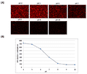Response of HeLa cells labeled with Protonex™ Lyso-Red 670. HeLa cells were incubated with 5 µM of Protonex™ Lyso-Red 670 for 30 minutes at 37°C. Incubation of Protonex™ Lyso-Red 670 solution with HeLa cells showed a homogenous uptake of Protonex™ Lyso-Red 670 and stained cell cytosol. The Spexyte™ Intracellular pH Calibration Buffer Kit (Cat No. 21235) was used to clamp the intracellular pH with extracellular buffers at pH 4 to 10. Images were acquired using a fluorescence microscope with a Cy5 filter set (A), and fluorescence was measured using a fluorescence microplate reader (FlexStation 3) at Ex/Em = 640/680 nm, cutoff = 665 nm (B).