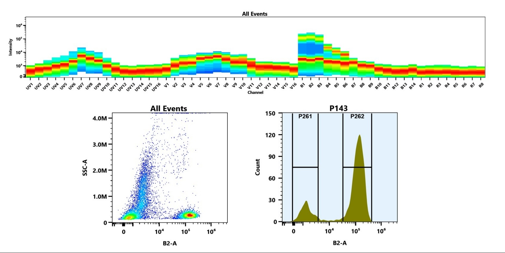 (Top) Spectral emission profiles generated using four spatially offset lasers (355 nm, 405 nm, 488 nm, and 640 nm). Each laser produced a distinct emission pattern, and their combination yielded the composite spectral signature. (Bottom) Flow cytometry analysis of whole blood stained with iFluor® 488 labelled Anti-human CD3 Antibody HIT3a (Cat. #10030000). The fluorescence signal was monitored using an Cytek Aurora flow cytometer in the specific B2-A channel.