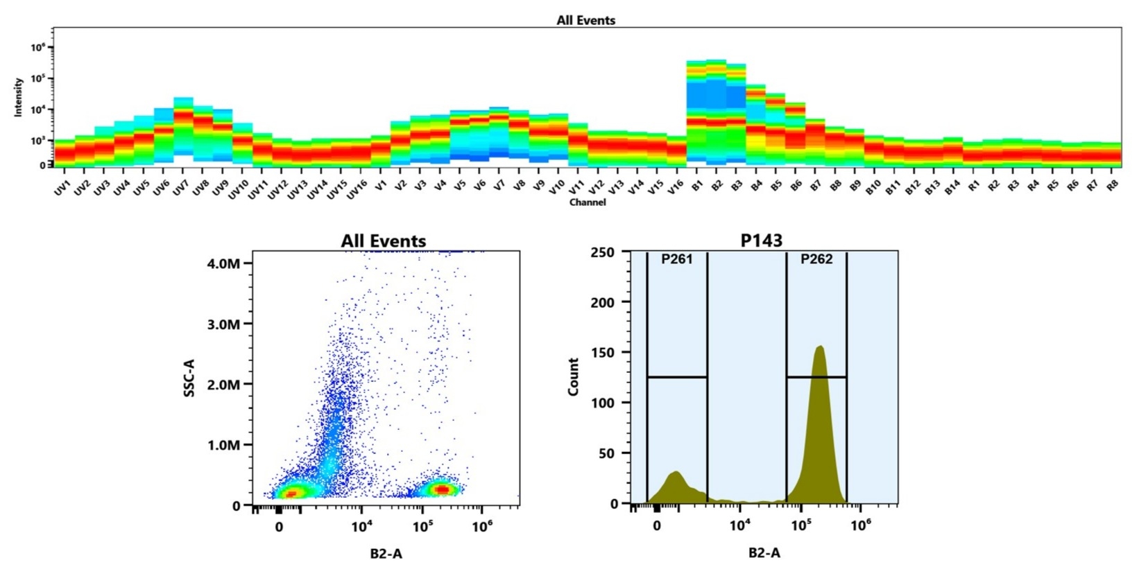 (Top) Spectral emission profiles generated using four spatially offset lasers (355 nm, 405 nm, 488 nm, and 640 nm). Each laser produced a distinct emission pattern, and their combination yielded the composite spectral signature. (Bottom) Flow cytometry analysis of whole blood stained with iFluor® 488 labelled Anti-human CD3 Antibody UCHT1 (Cat. #10032000). The fluorescence signal was monitored using an Cytek Aurora flow cytometer in the specific B2-A channel.