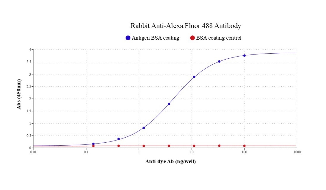 Indirect ELISA of Rabbit Anti-Alexa Fluor 488 Antibody. Microplates were coated with 100 ng/well of BSA-Alexa Fluor488 or BSA (control). Coating, blocking, and washing steps followed standard ELISA procedures. Rabbit Anti-Alexa Fluor 488 Antibody (Cat# 46500) was serially diluted threefold from 100 ng/well and incubated for 40 minutes. After washing, HRP-labeled goat anti-rabbit IgG (Cat# 16793) (100 ng/mL in PBST; 100 µL/well) was added and incubated at room temperature for 40 minutes. Bound HRP activity was detected using ReadiUse™ TMB Substrate Solution (Cat# 11012), and absorbance was measured at 450 nm.