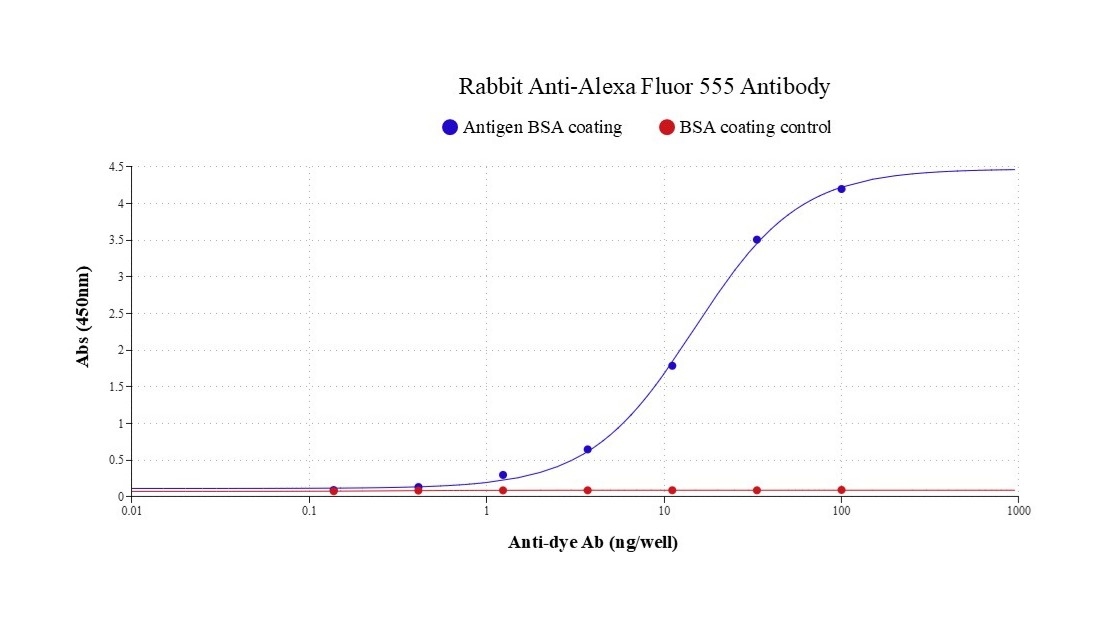 Indirect ELISA of Rabbit Anti-Alexa Fluor 555 Antibody. Microplates were coated with 100 ng/well of BSA-Alexa Fluor 555 or BSA (control). Coating, blocking, and washing steps followed standard ELISA procedures. Rabbit Anti-Alexa Fluor 555 Antibody (Cat# 46530) was serially diluted threefold from 100 ng/well and incubated for 40 minutes. After washing, HRP-labeled goat anti-rabbit IgG (Cat# 16793) (100 ng/mL in PBST; 100 µL/well) was added and incubated at room temperature for 40 minutes. Bound HRP activity was detected using ReadiUse™ TMB Substrate Solution (Cat# 11012), and absorbance was measured at 450 nm.