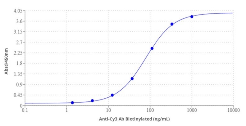 ELISA dose-response curve for Rabbit Anti-Cy3 Antibody, Biotinylated. Cy3-BSA (100 ng/well) was immobilized on a 96-well plate overnight. Rabbit Anti-Cy3 Antibody (Cat #46900) was serially diluted 3-fold from 1000 ng/mL to 1.4 ng/mL, and 100 µL of each dilution was added per well and incubated for 30 minutes. Following washes, Streptavidin-HRP conjugate (100 ng/mL, 100 µL/well) was added and incubated for 30 minutes. HRP activity was detected using ReadiUse™ TMB Substrate Solution (Cat #11012) after final washes.
