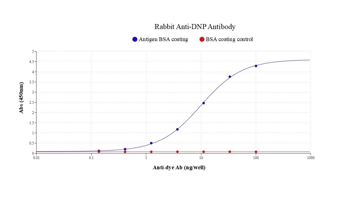 Indirect ELISA of Rabbit DNP Antibody. Microplates were coated with 100 ng/well of BSA-DNP or BSA (control). Coating, blocking, and washing steps followed standard ELISA procedures. Rabbit DNP Antibody (Cat# 46850) was serially diluted threefold from 100 ng/well and incubated for 40 minutes. After washing, HRP-labeled goat anti-rabbit IgG (Cat# 16793) (100 ng/mL in PBST; 100 µL/well) was added and incubated at room temperature for 40 minutes. Bound HRP activity was detected using ReadiUse™ TMB Substrate Solution (Cat# 11012), and absorbance was measured at 450 nm.