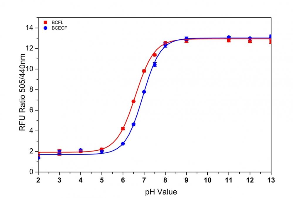 The pH dependent standard curve of BCFL and BCECF with various pH buffers. Averages of 3 data points were plotted and a 4-parameter trendline was fitted to get the pH standard curve.