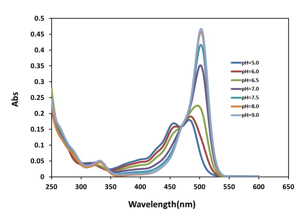 The pH dependent&nbsp;absorbance&nbsp;spectra of&nbsp;BCFL Acid.