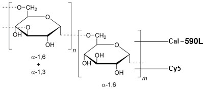 RatioWorks Cal-590L/Cy5-Dextran Conjugate carries a calcium-independent Cy5 fluorphore as a reference color for radiometric measurements. The Cal-520L fluorphore can be well excited by Krypton laser at 568 nm where Cy5 has minimal excitation. The reference Cy5 fluorophore can be well excited by He-Ne laser at 633 nm or red laser at 647 nm where Cal-590L fluorphore has minimal excitation.