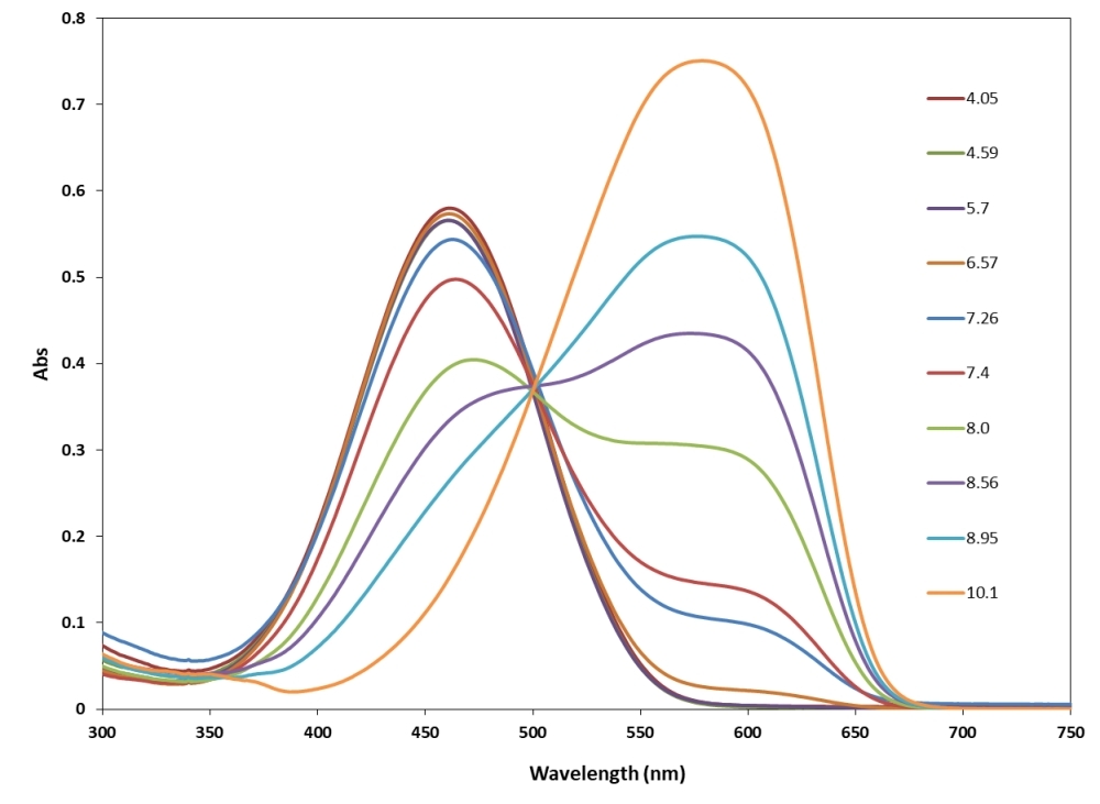 The pH dependent absorbance spectra of RatioWorks™ PH165.