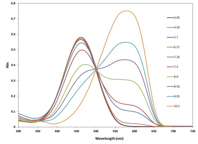 The pH dependent&nbsp;absorbance&nbsp;spectra of&nbsp; RatioWorks&trade; PH165.