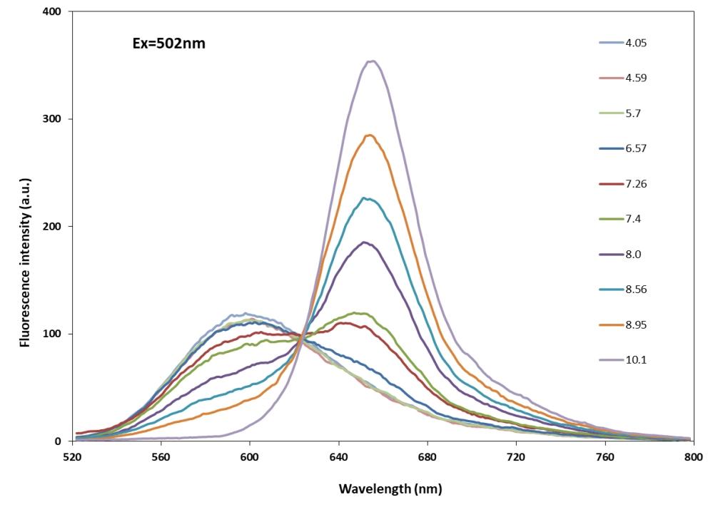 The pH dependent&nbsp;Emission spectra of RatioWorks&trade; PH165.